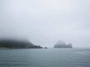 trex transcend island mist